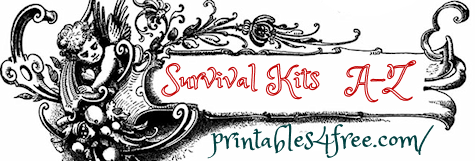  humorous, inspirational, motivational Survival Kits logo
