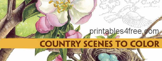  country scenes to colour - Dot Barlowe - logo